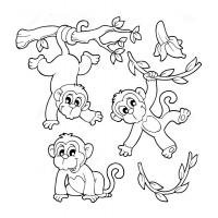 Раскраска обезьянка