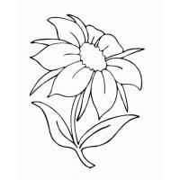 Раскраска цветик семицветик
