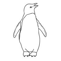 Раскраска пингвин
