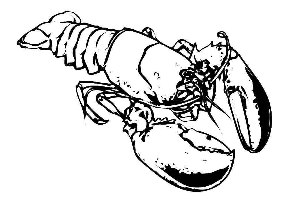 Bdsm lobster tube