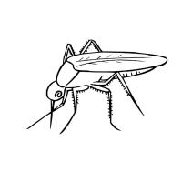 Раскраска комар