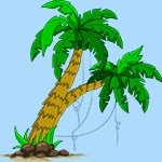 Раскраска пальма