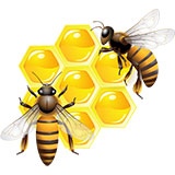 Раскраска пчела