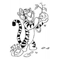 Раскраска Тигра