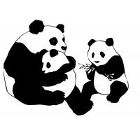 Раскраска панда