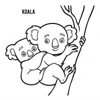 Раскраска коала