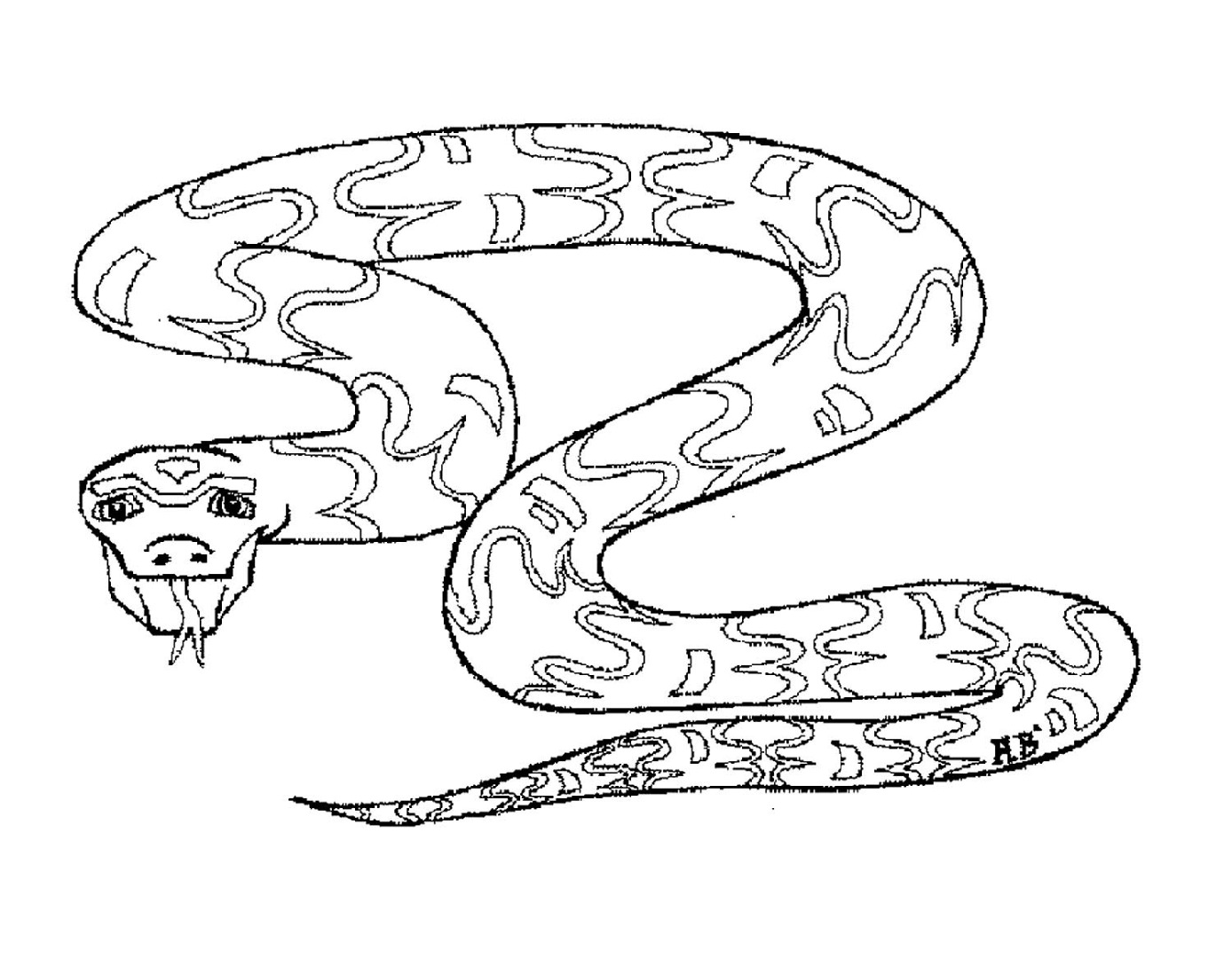 Удав рисунок. Змея раскраска. Раскраски змей. Раскраска змеи для детей. Змея раскраска для детей.