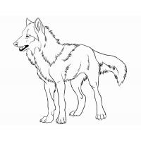 Раскраска волк