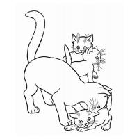 Раскраска кошки и котята