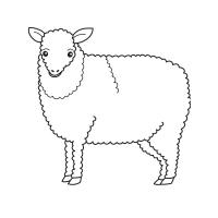 Раскраска овечка