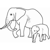 Раскраска слон