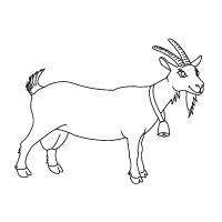 Раскраска коза