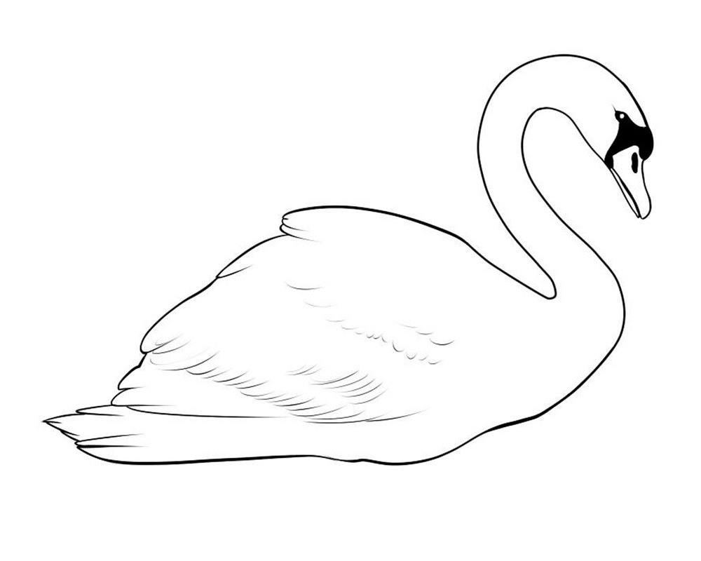 Распечатать картинку лебедь. Лебедь сбоку рисунок. Лебедь раскраска. Лебедь рисунок карандашом. Лебедь картинка раскраска.
