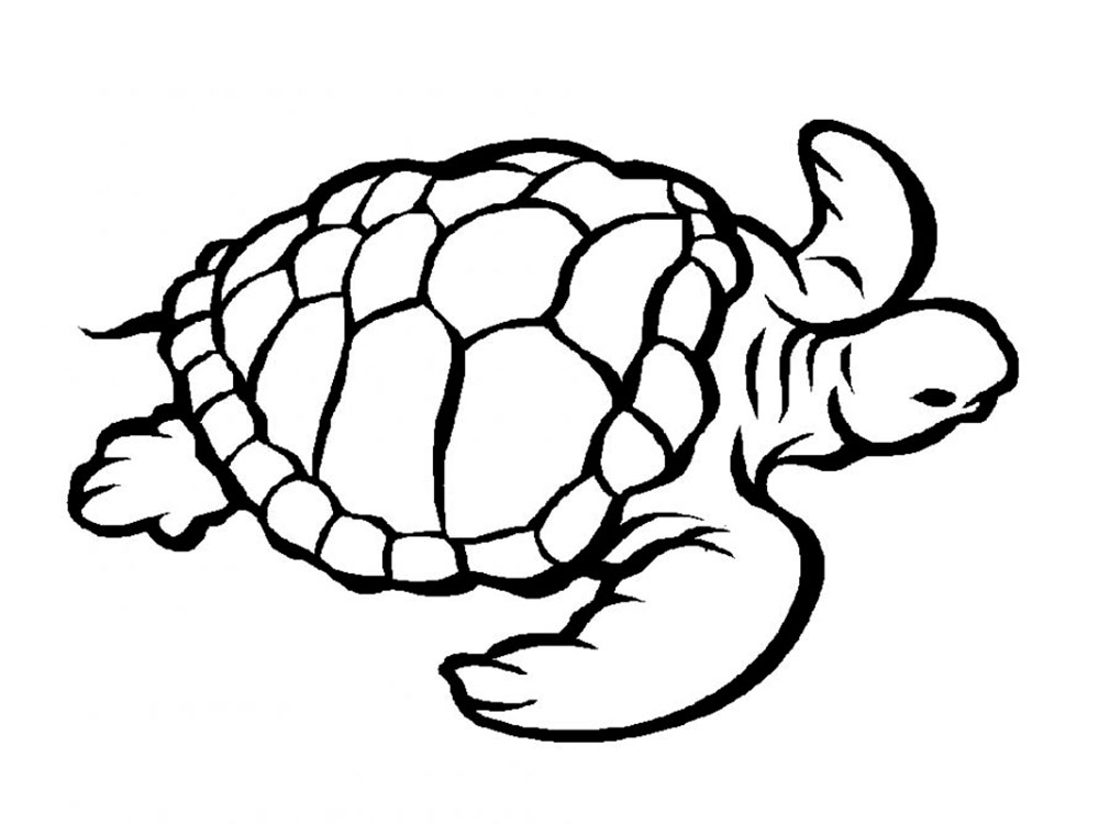 Раскраска черепаха скачать и распечатать Черепаха Рисунок Раскраска.