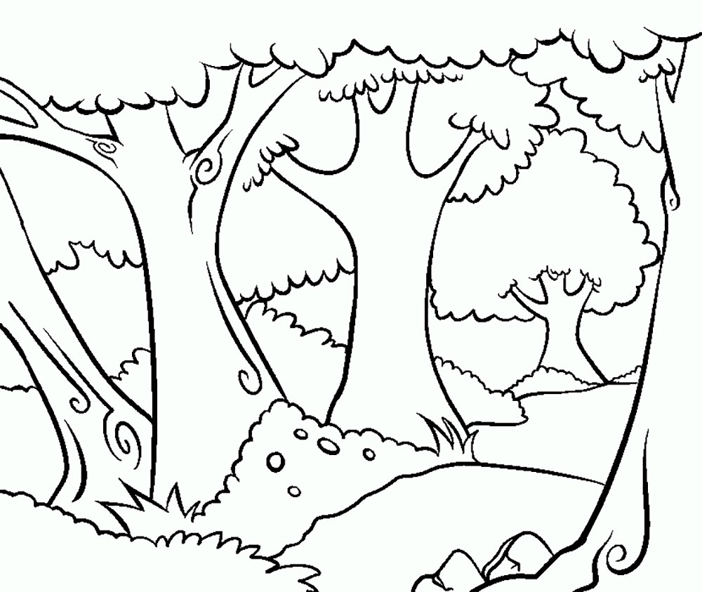 Картинки лес распечатать. В лесу. Раскраска. Лес раскраска для детей. Лес картинка для детей раскраска. Раскраска для малышей. В лесу.