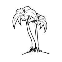 Раскраска пальма