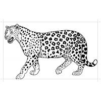 Раскраска гепард