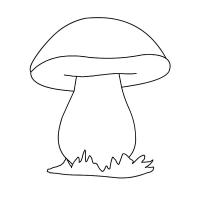 Раскраска белый гриб