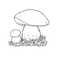 Раскраска белый гриб