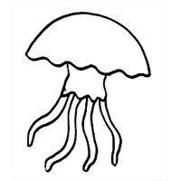 Раскраска медуза