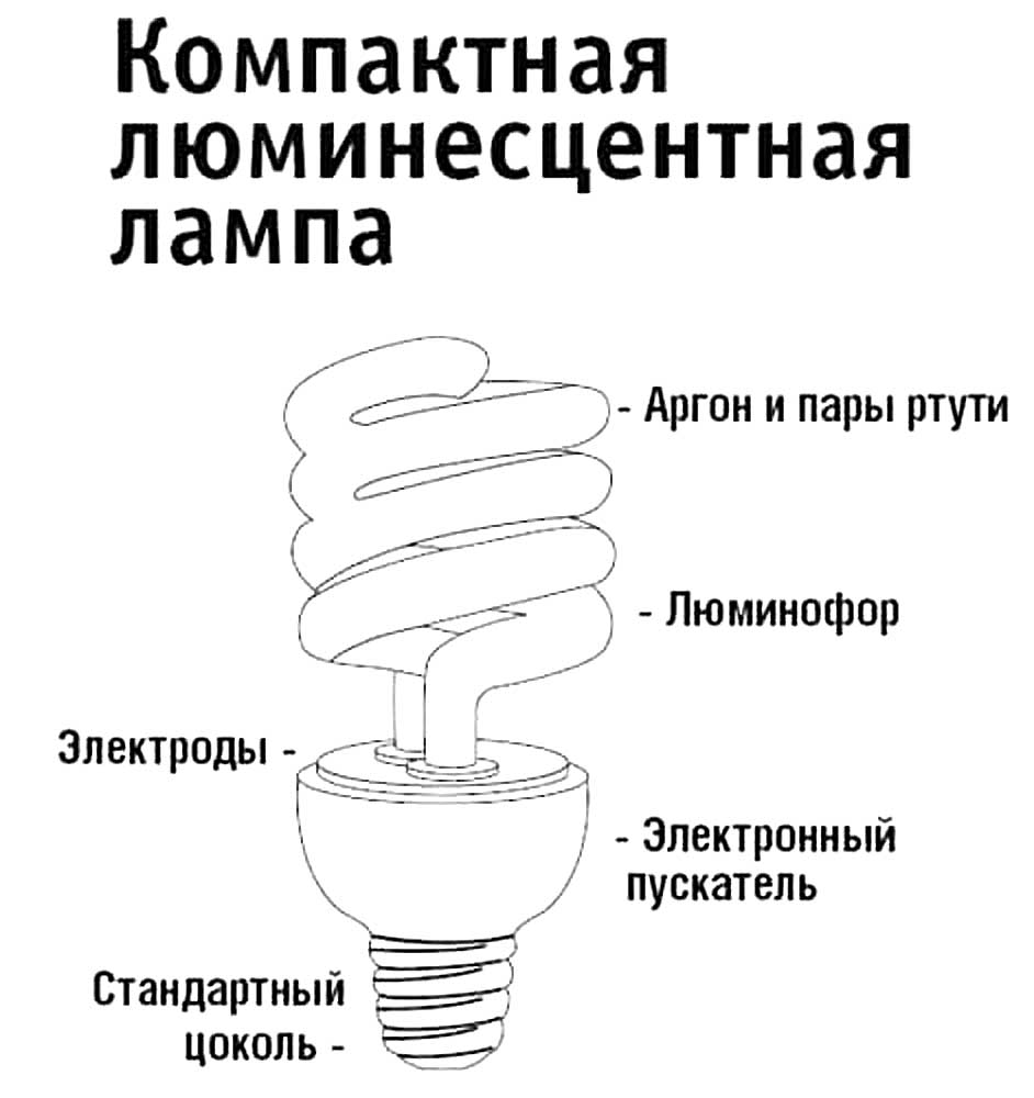 Какое напряжение на лампочке в холодильнике. Строение энергосберегающей лампы. Строение люминесцентной лампы схема. Люминесцентные лампы схема лампы. Лампа люминесцентная компакт схема.