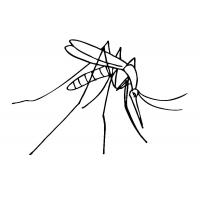 Раскраска комар
