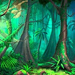Раскраска джунгли Раскраска джунгли