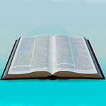 Раскраска раскрытая книга Раскраска раскрытая книга